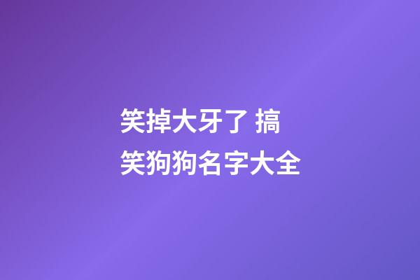 笑掉大牙了 搞笑狗狗名字大全